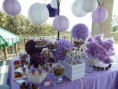 /album/fotogaleria-mesa-de-dulces-surtidos/cfb-93401-jpg1/